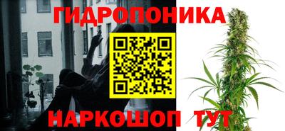 кокс Кизляр