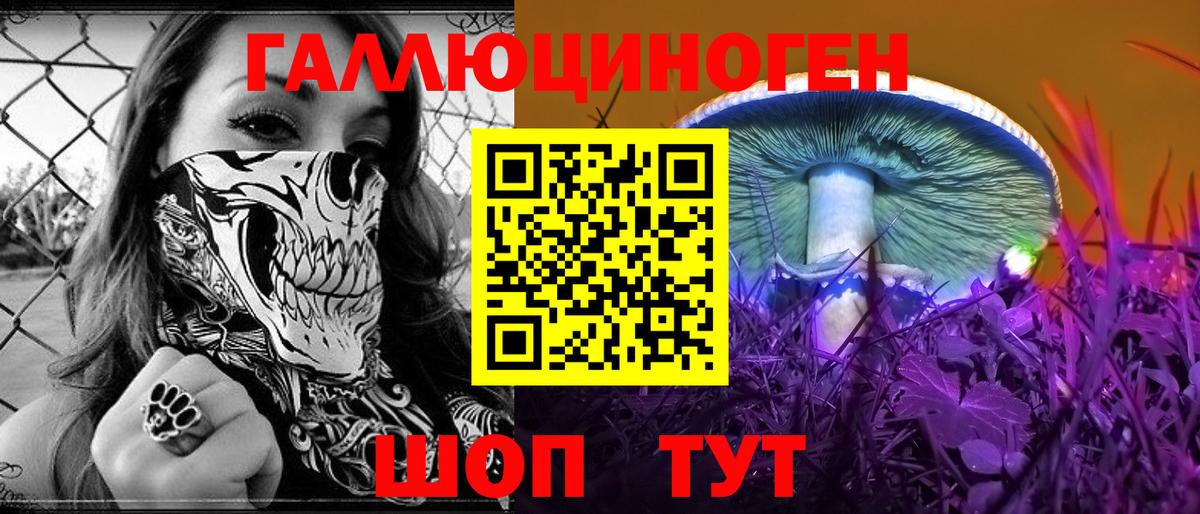 Белгород  где продают наркотики  Вход с VPN  Галлюциногенные грибы ЛСД  Галлюциногенные грибы GOLDEN TEACHER 