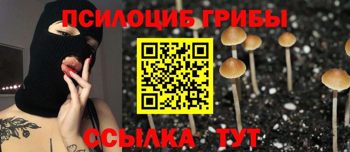 Галлюциногенные грибы MAGIC MUSHROOMS Белгород